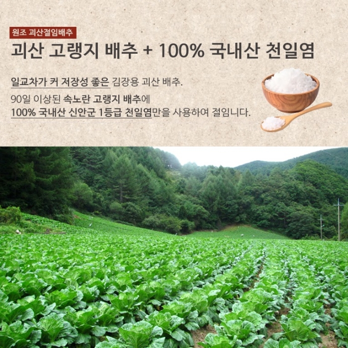 무료배송] 괴산절임배추 특품 20Kg / 예약배송 - 티몬